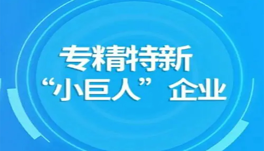 專精特新小巨人